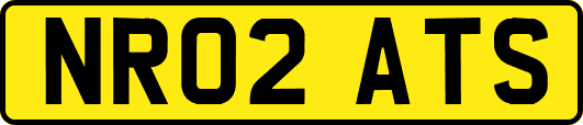 NR02ATS