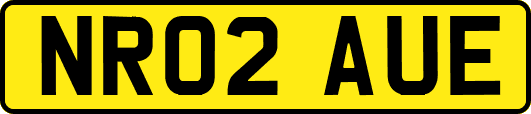 NR02AUE
