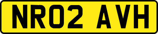 NR02AVH