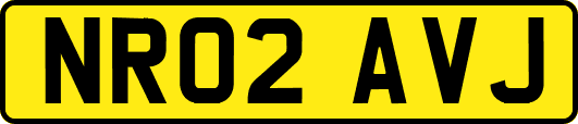NR02AVJ