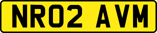 NR02AVM