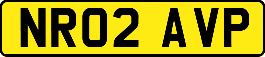 NR02AVP