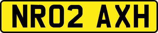 NR02AXH