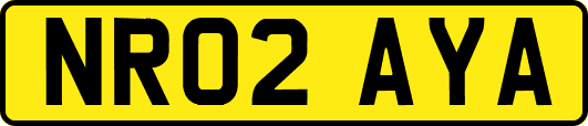 NR02AYA