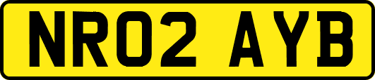 NR02AYB