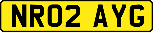 NR02AYG