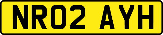 NR02AYH