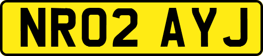 NR02AYJ