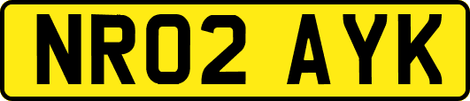 NR02AYK