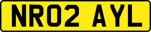 NR02AYL