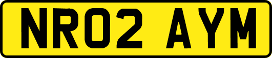 NR02AYM