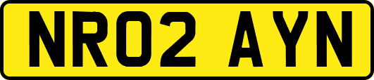 NR02AYN