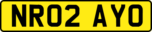 NR02AYO