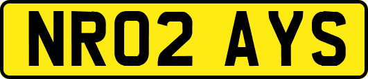 NR02AYS
