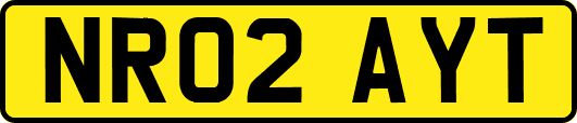 NR02AYT