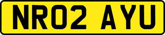 NR02AYU