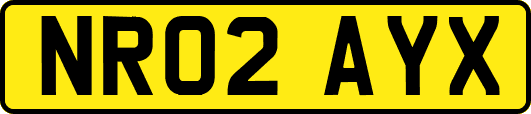 NR02AYX
