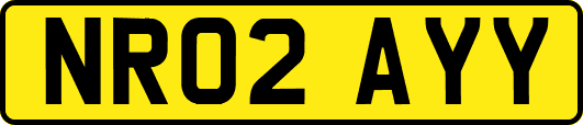 NR02AYY