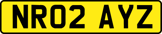 NR02AYZ