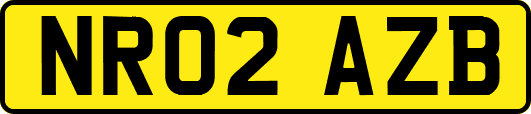 NR02AZB