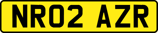 NR02AZR