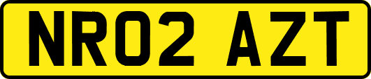 NR02AZT