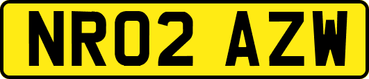 NR02AZW