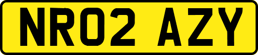 NR02AZY