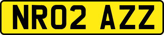 NR02AZZ