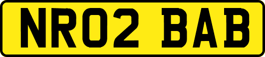NR02BAB
