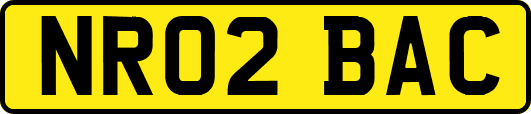 NR02BAC