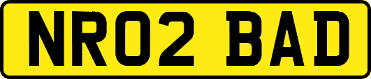 NR02BAD