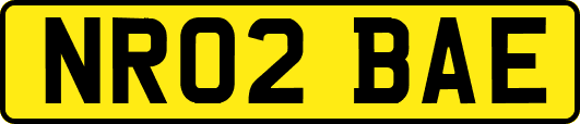 NR02BAE