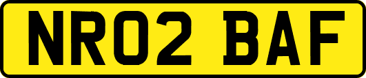 NR02BAF