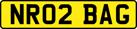 NR02BAG