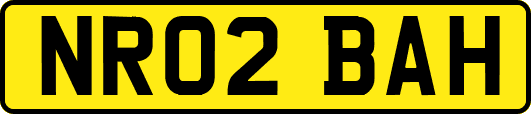 NR02BAH