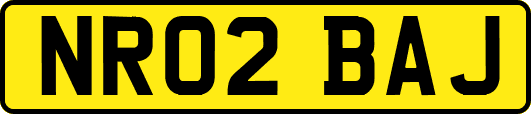 NR02BAJ