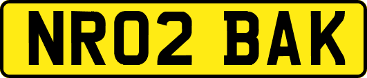 NR02BAK
