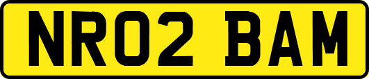 NR02BAM