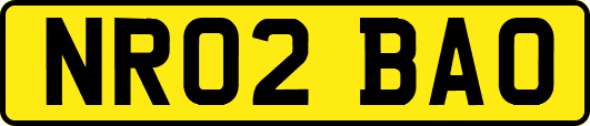 NR02BAO