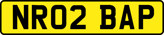 NR02BAP