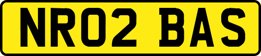 NR02BAS