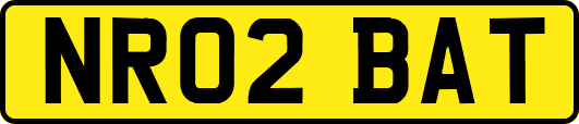 NR02BAT