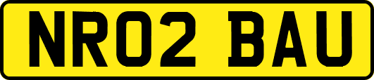 NR02BAU