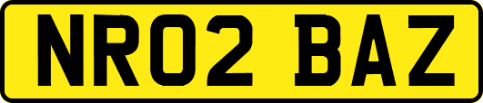 NR02BAZ