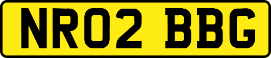 NR02BBG