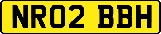 NR02BBH