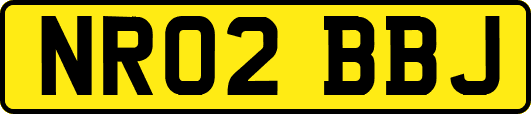 NR02BBJ