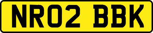 NR02BBK