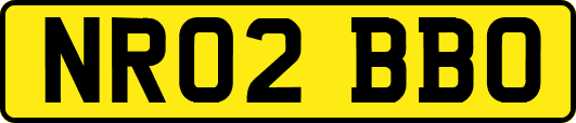NR02BBO